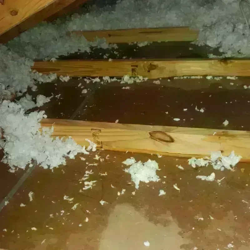 Attic Water Damage in Cookeville, TN